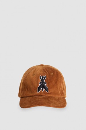 Patrizia Pepe Cotton Baseball Cap Beige | RYXJD4935