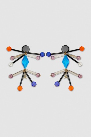 Patrizia Pepe Earrings With Techno Pop Fly Appliqué Multicolore | SEICB3104