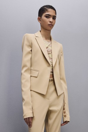 Patrizia Pepe Essential One-button Jacket Beige | IPXRC5186