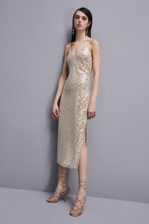 Patrizia Pepe Hand-embroidered Tulle Dress Beige | UTWFH3590