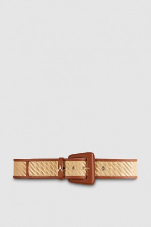 Patrizia Pepe High Waist Fabric Belt Marron | VJNSK2934