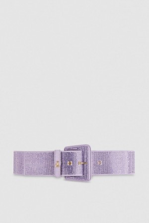 Patrizia Pepe High-waisted Belt With Rhinestones Rose | NHATU5328