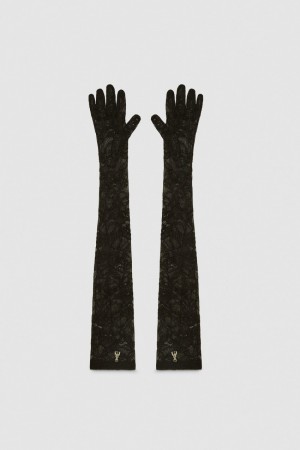 Patrizia Pepe Long Stretch Lace Gloves Noir | ZEOPI9843