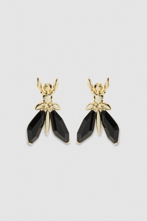 Patrizia Pepe Precious Fly Earrings With Stones Noir | WRTVC1786