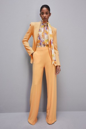 Patrizia Pepe Sablè Crepe Palazzo Pants Orange | ELOTB7126