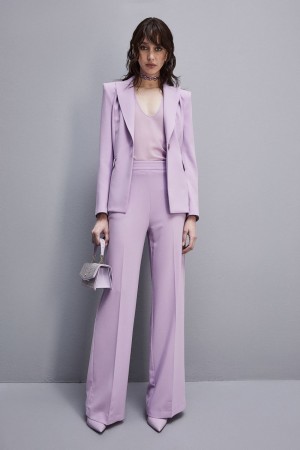 Patrizia Pepe Sablè Crepe Palazzo Pants Violette | RJQVI8173